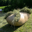 DSC00045.JPG
