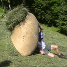 DSC00167.JPG