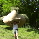 DSC00173.JPG