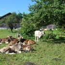 DSC01015.JPG