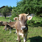 DSC01019.JPG