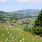 DSC03747.JPG