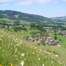 DSC03751.JPG