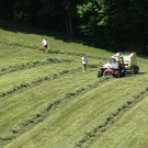 DSC08674.JPG
