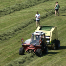 DSC08678.JPG