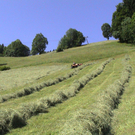 DSC09092.JPG