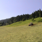 DSC09095.JPG