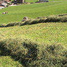 DSC09103.JPG