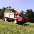 DSC09108.JPG