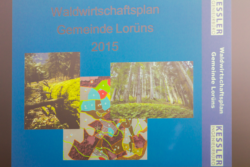 klein_20161112_WWP-Loru__ns_001.jpg