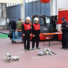 Feuerwehrjugendleistungsprüfung in Gold im FAZ in Feldkirch