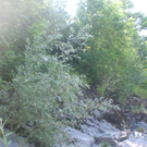 CIMG2280.JPG