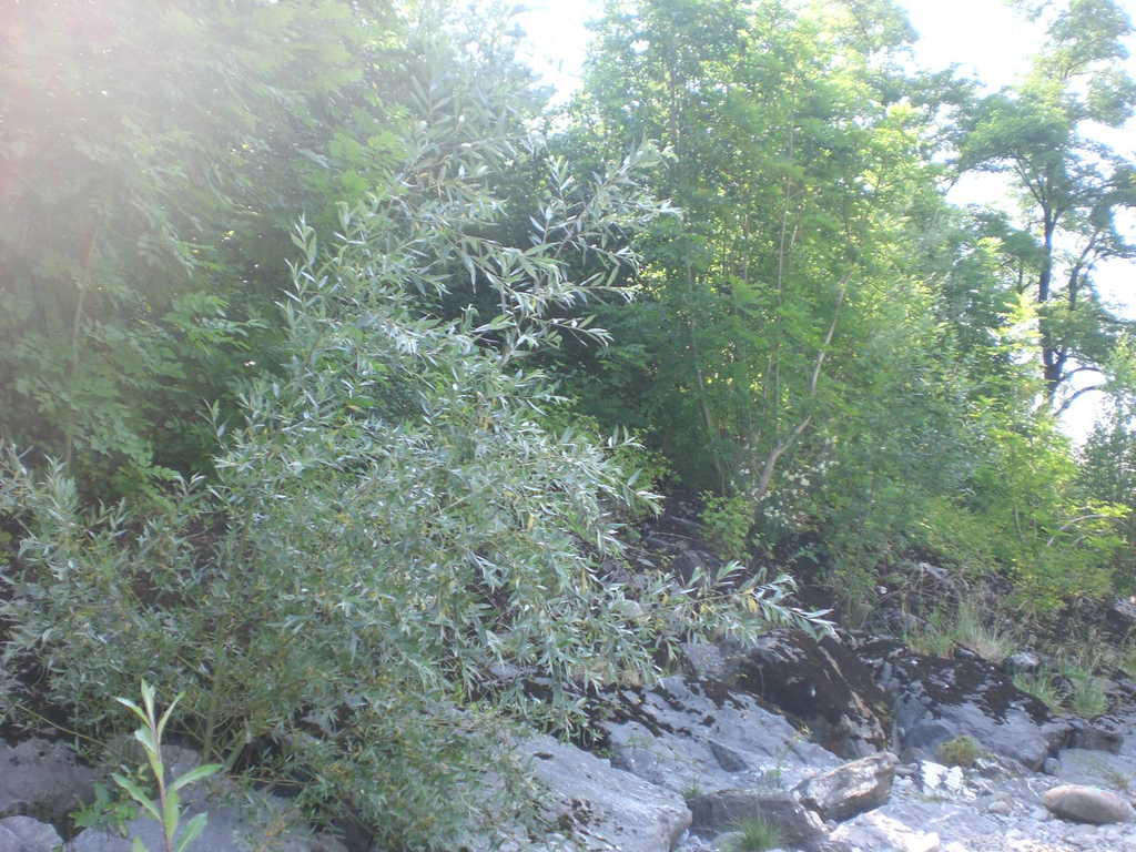 CIMG2280.JPG