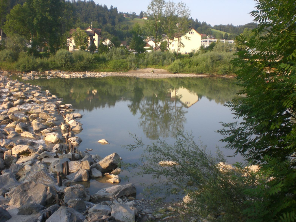 CIMG2288.JPG