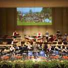 KOE_Das Konzert MV Gisingen 15.jpg