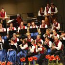 KOE_Das Konzert MV Gisingen 33.jpg