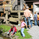 Ziel3_jpg-1277842583