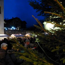 P1060772.jpg