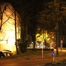 IMG_3490.JPG