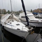 Hafen Hard