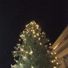 Christbaum_Illuminierung__c_DTSM _2_-min.jpg