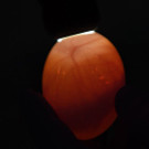 ABD0044-20161129.jpg