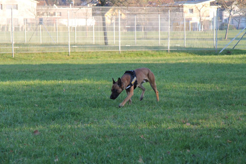 IMG_2720.JPG