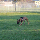IMG_2720.JPG
