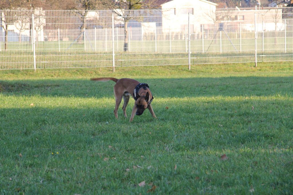IMG_2723.JPG