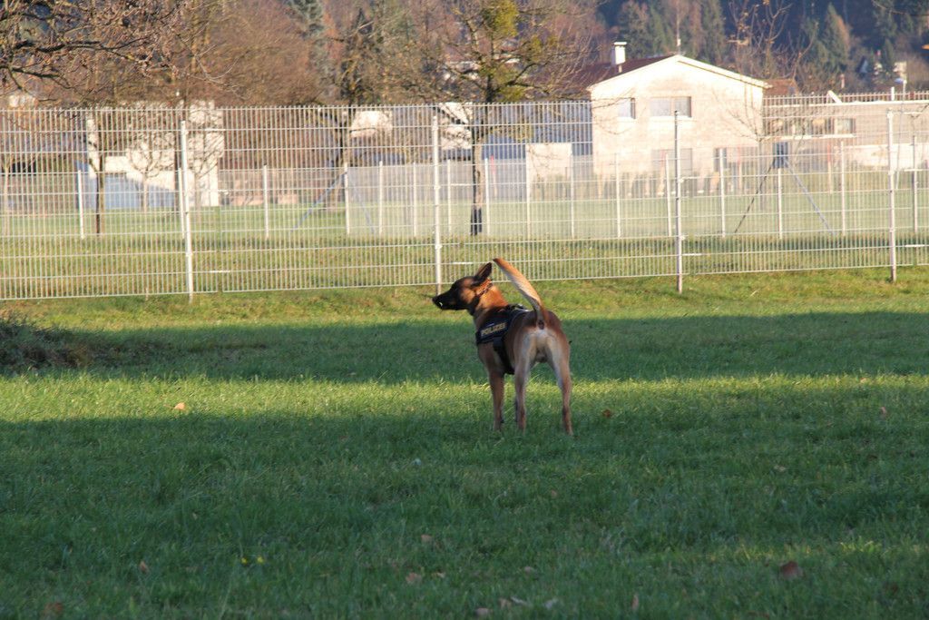 IMG_2724.JPG