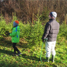 BK_Christbaum selber fa__llen_20122014 7.JPG