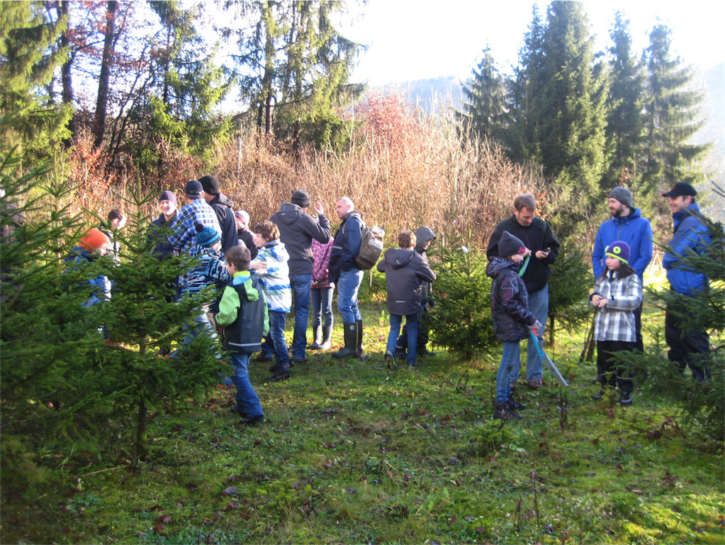 BK_Christbaum selber fa__llen_20122014 11.JPG