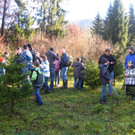 BK_Christbaum selber fa__llen_20122014 11.JPG