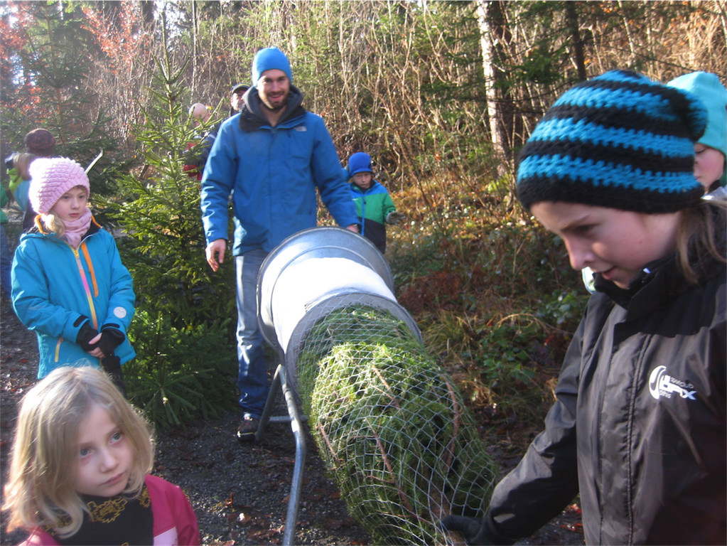 BK_Christbaum selber fa__llen_20122014 19.JPG