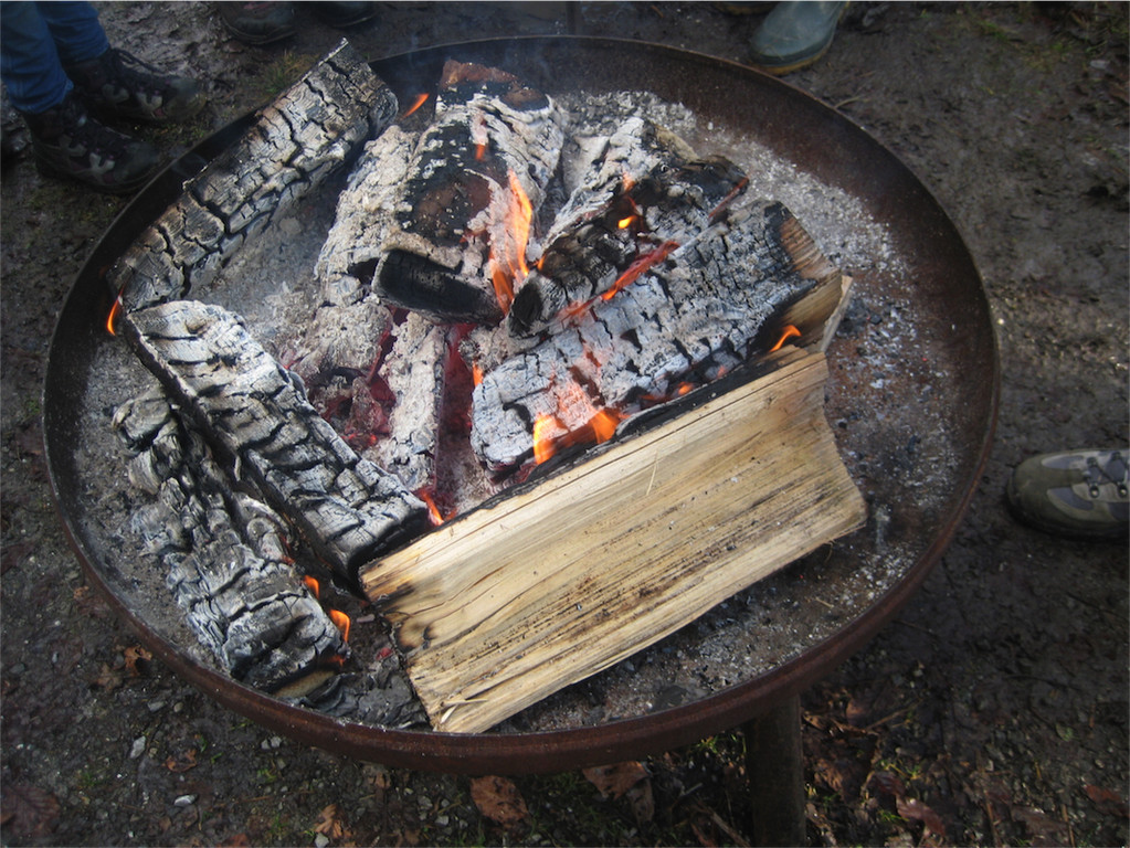 BK_Christbaum selber fa__llen_20122014 22.JPG