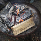BK_Christbaum selber fa__llen_20122014 22.JPG