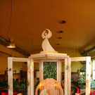 IMG_5739.jpg