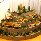 IMG_5839.jpg