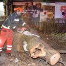 Presse08.JPG