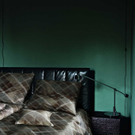 Goodwood Fb6.jpg