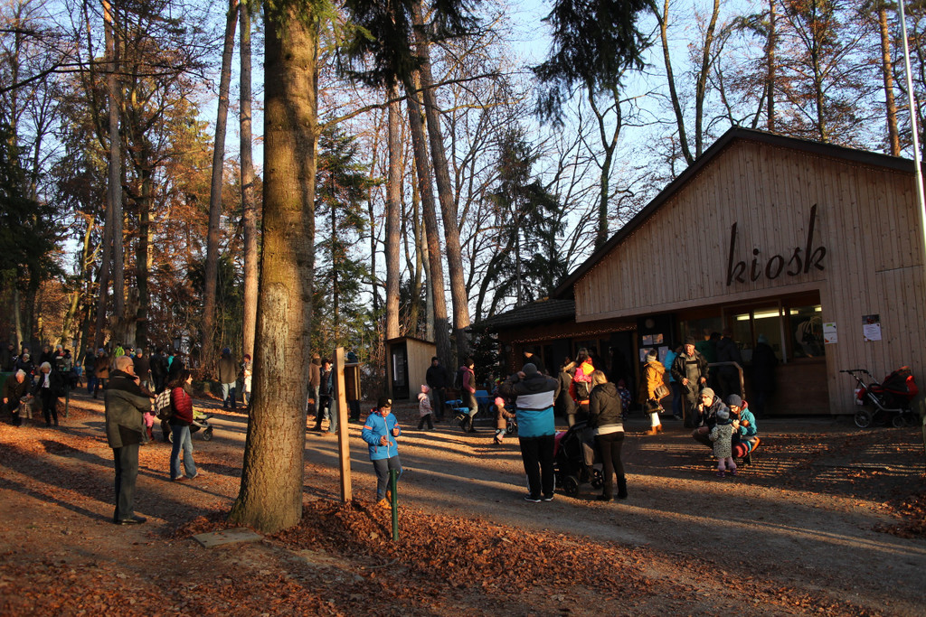 KOE_Nikolo im Wildpark 1.jpg