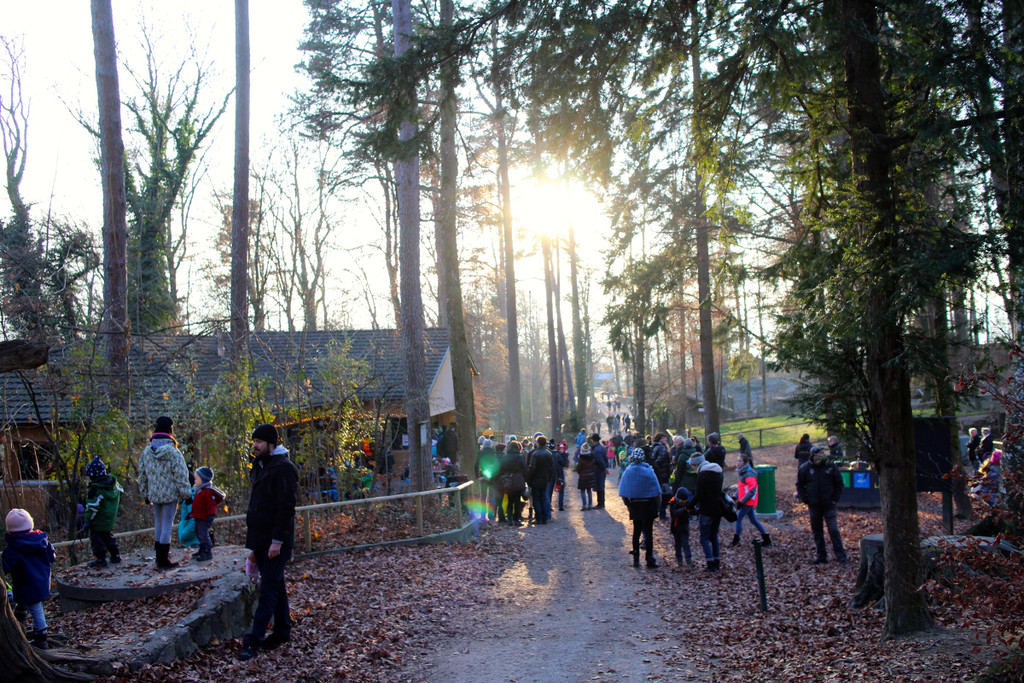 KOE_Nikolo im Wildpark 2.jpg