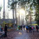KOE_Nikolo im Wildpark 2.jpg