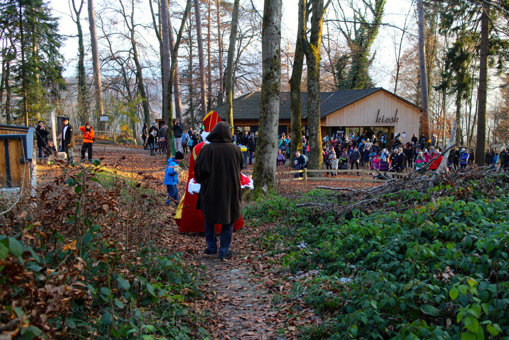 KOE_Nikolo im Wildpark 4.jpg