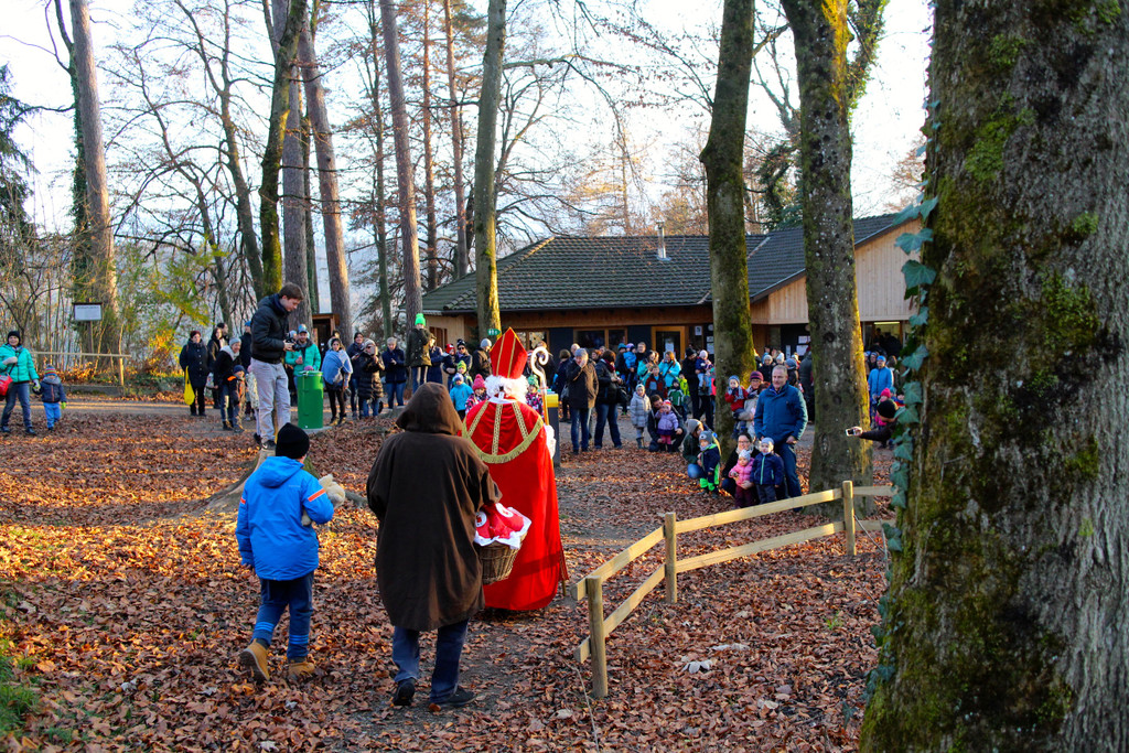 KOE_Nikolo im Wildpark 5.jpg