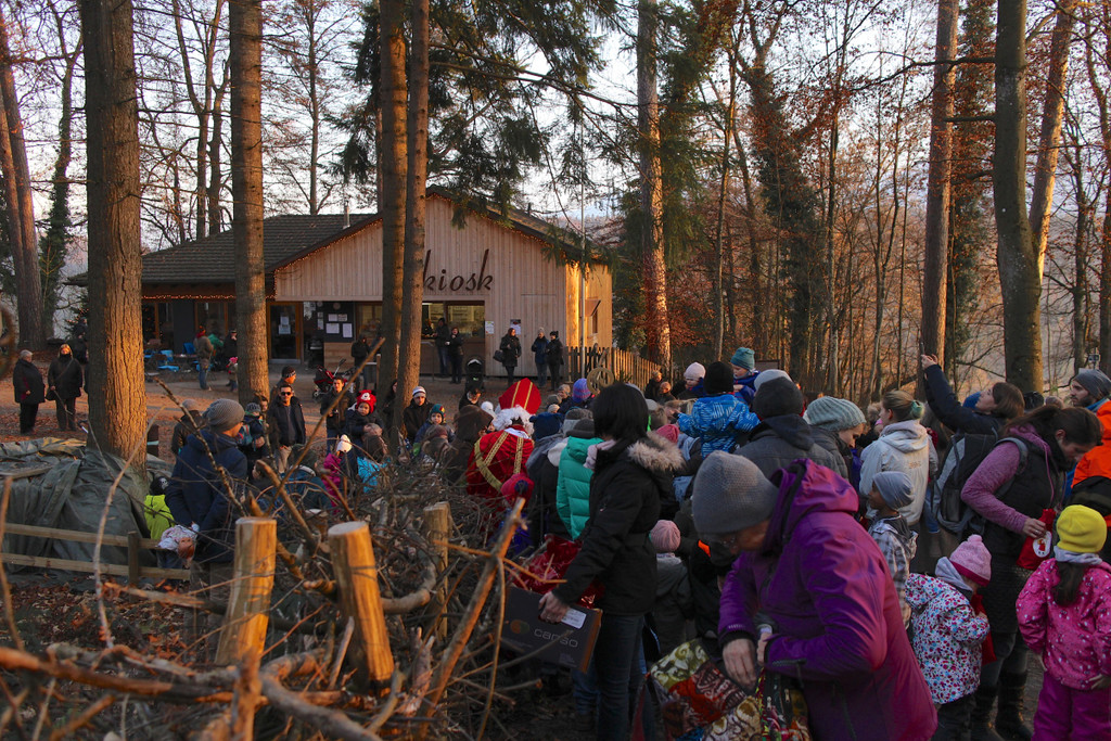 KOE_Nikolo im Wildpark 17.jpg