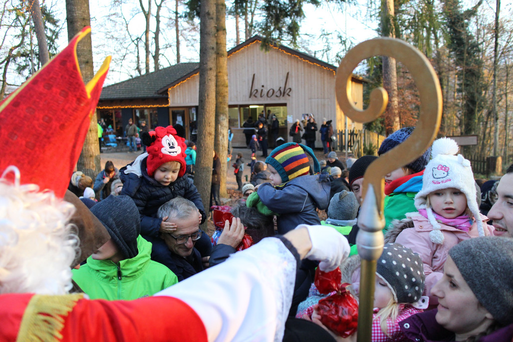 KOE_Nikolo im Wildpark 20.jpg