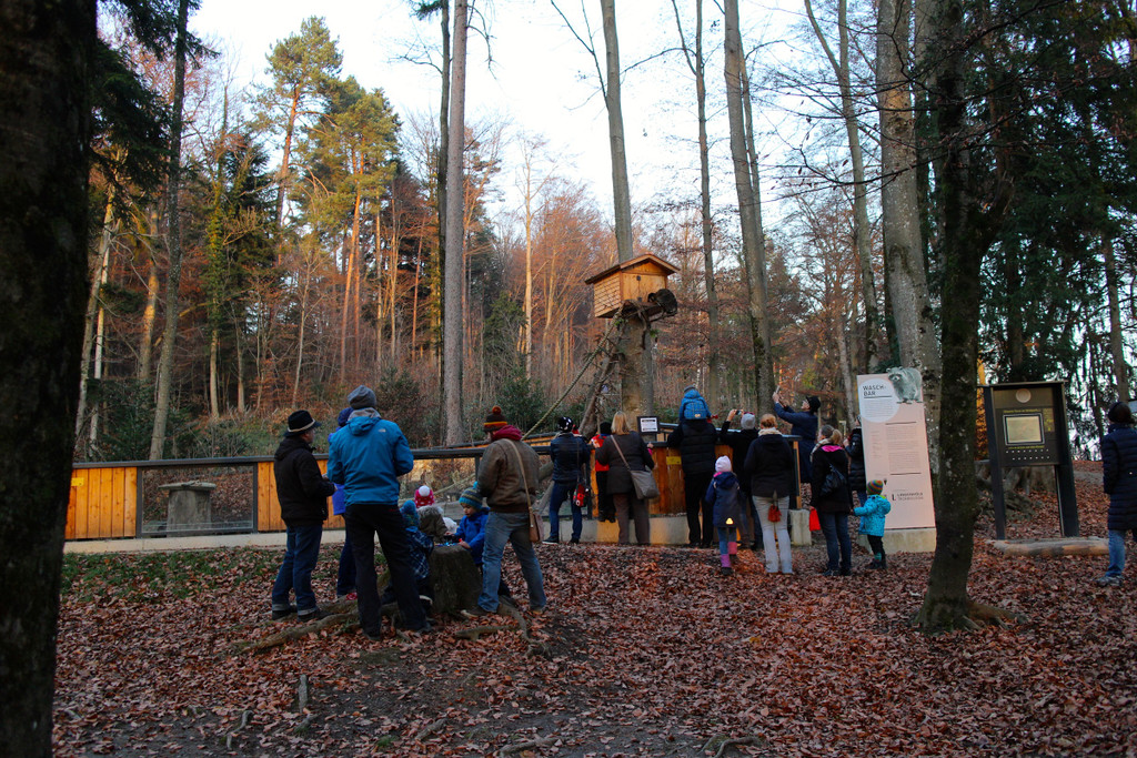 KOE_Nikolo im Wildpark 23.jpg