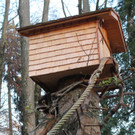 KOE_Nikolo im Wildpark 24.jpg