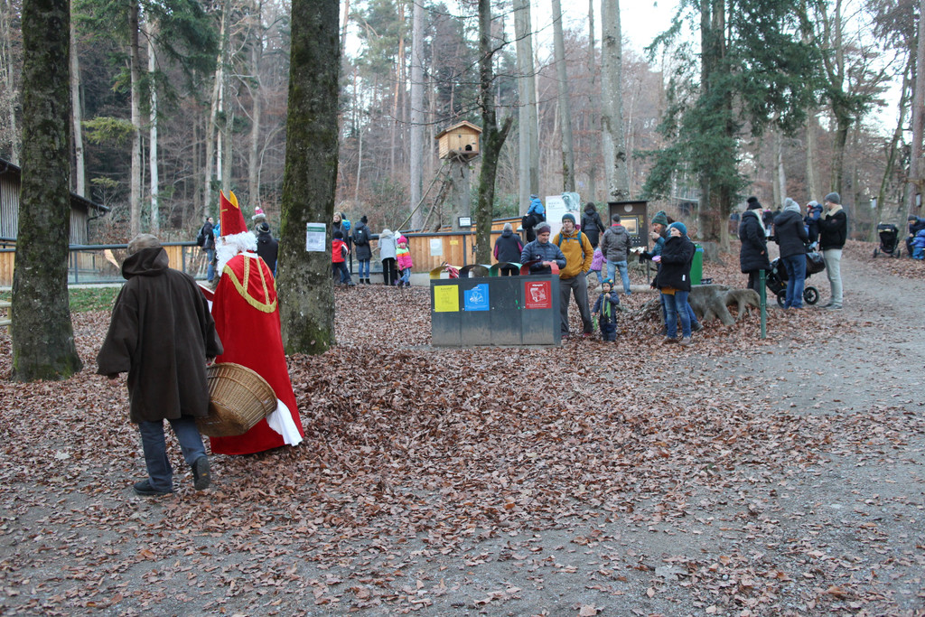 KOE_Nikolo im Wildpark 30.jpg